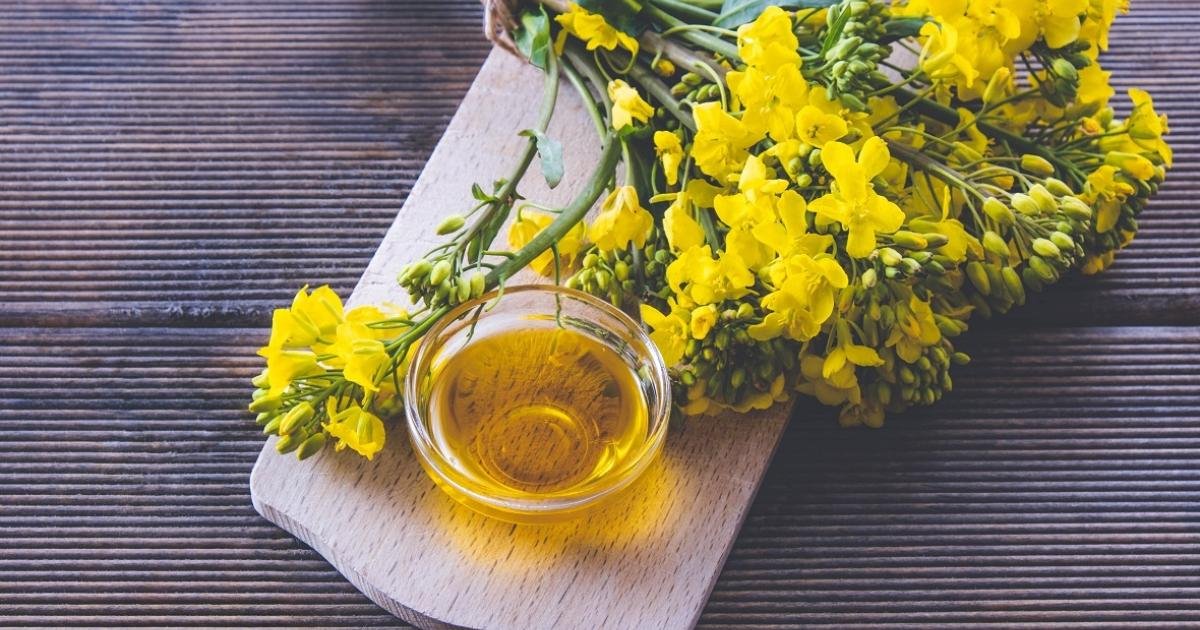 Organic Canola Oil